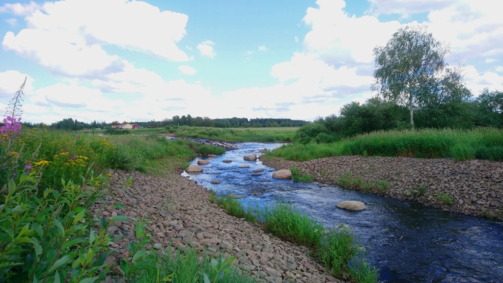 Mutkittelevassa ohitusuomassa juoksee virtaava vesi.
