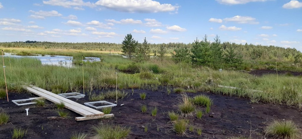 Entisellä turvetuotantoalueella on mittausrakenteita.