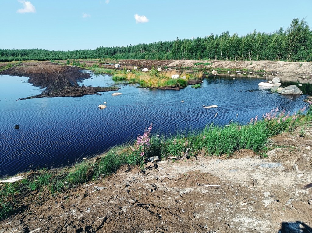 Entisellä turvetuotantoalueella on vettä ja maapenkereitä.