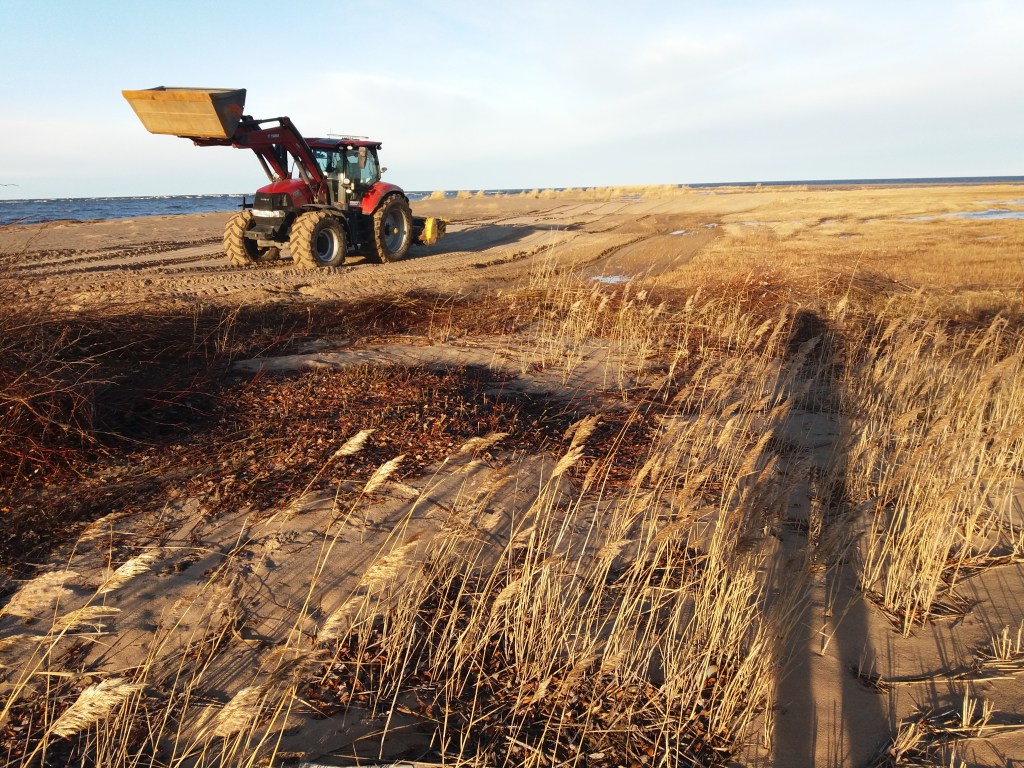 Traktori, hiekkaista rantamaisemaa ja kasvillisuutta.